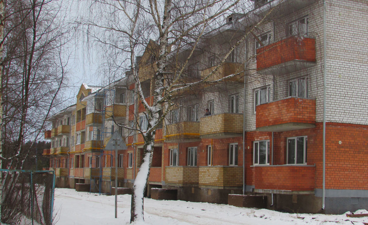 3д макет Жилой дом в п. Лесково Вологодского района
